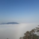 아일랜드 365 이미지