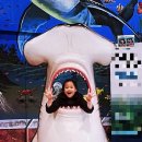 금계체육관 | 플레이아쿠아리움 부천 실내수족관동물원