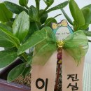 둔포우리약국 이미지