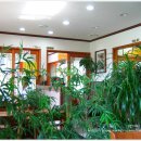 여주-0092 이미지