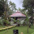 탄자니아 킬리만자로/아루샤 숙소_아루샤 플래닛 롯지 (Arusha Planet Lodge) 1박 후기