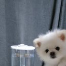 순천만동물병원 이미지