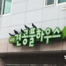 견공풀하우스 이미지