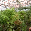 온누리펜션가든 이미지