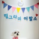 멍그라미 이발소 이미지