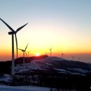 해돋이목장 이미지