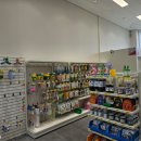 브라이트 독 이미지