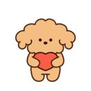 카페돌옷 이미지