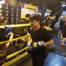 한양 복싱 체육관 이미지