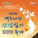 백두산삼