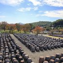 카페세라비 이미지