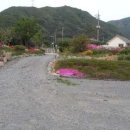 들꽃여울캠핑장 이미지