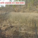 임고면-고천리-16