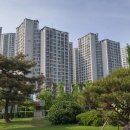 잠실파크리오아파트앞 이미지