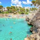 (유)바다렌트카 이미지