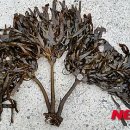 (주)바다플러스 이미지