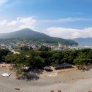 완도 미라리 상록수림 이미지