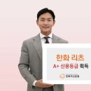 리츠A 이미지