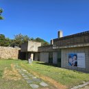 마음피움센터 이미지