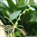 반디랜드 곤충박물관 이미지