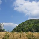 천일주유소화장실 네이버블로그