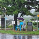 신례2리(공천포) 4 | 제주올레길05코스 : 제주도한달살기 DAY 23 | 바당올레와 마을올레를 걷는 코스 2편