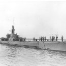 (주)일렉트릭아일랜드 이미지