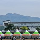 서귀포고등학교4가 2 | 제주 서귀포 야외행사 후기｜파라솔·그늘막 대여 가능한 에이스렌탈 어린이대축제 현장 🌈