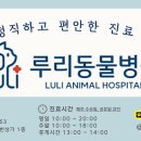 루리동물병원 네이버블로그