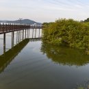 자연생태공원 수변데크 입구 이미지