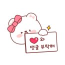 모텔퍼시픽 이미지