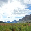 제스퍼(JASPER) 이미지