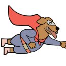 애견천사들 이미지