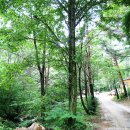 주식회사세연정 이미지