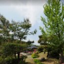 114부동산중개인사무소 이미지