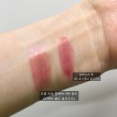 [Arden Pick] 봄 데일리템! 샤넬 립앤치크밤 5호 라이블리 로즈우드 리뷰