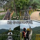 청주 근교 이색 데이트 추천 보은 가볼 만한 곳 속리산 솔향공원 테마파크 스카이 바이크 짚라인 체험 후기