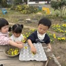 으뜸이야 이미지