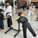 경희 태권 히어로즈 이미지