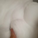 미드디자인 이미지