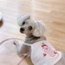 구구네미용실 이미지