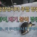 남창낚시터 이미지