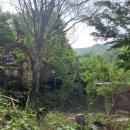 하늘호수민박 이미지