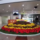 충주시청 이미지