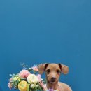 마실오개 이미지