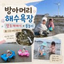 스파클생수시화，안산 | 태안 몽산포 안 가도 맛조개 잡을 수 있는곳｜아이와 대부도 방아머리해수욕장 당일치기 후기