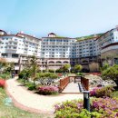 동일상사 이미지