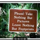 LNT 흔적 남기지 않기( Leave No Trace) 동참 이미지