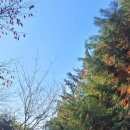 오룡산 등산로 입구 이미지