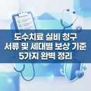 실비